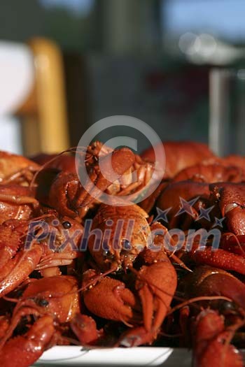 Food Stock Photo Subscription