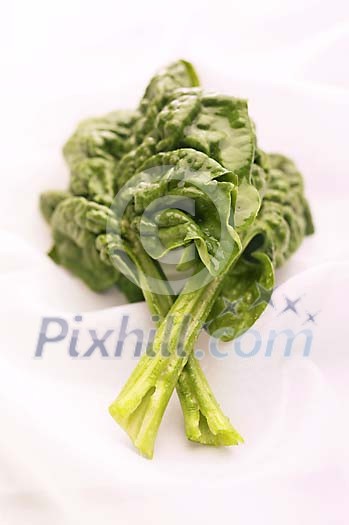 Food Stock Photo Subscription Food Stock Photo Subscription