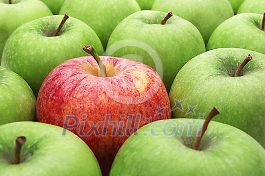 Food Stock Photo Subscription Food Stock Photo Subscription