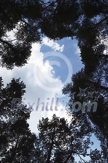 Background Stock Photos Subscription Background Stock Photos Subscription