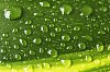 Background Stock Photos Subscription