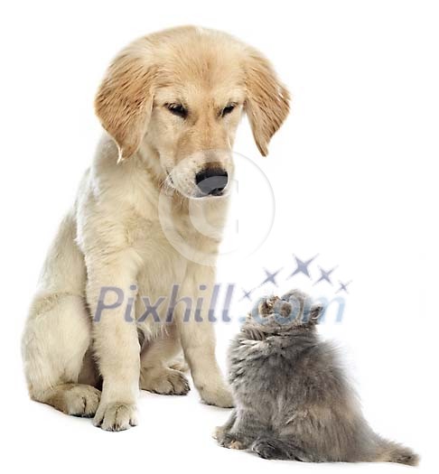 Download Conceptual Stock Images Download Conceptual Stock Images
