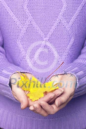 People Stock Images Subscription People Stock Images Subscription