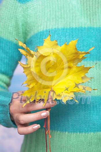 People Stock Images Subscription People Stock Images Subscription