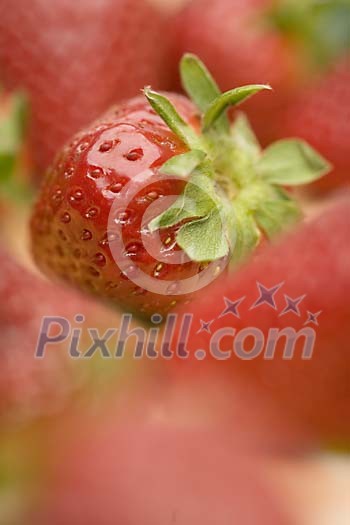 Food Stock Photo Subscription Food Stock Photo Subscription