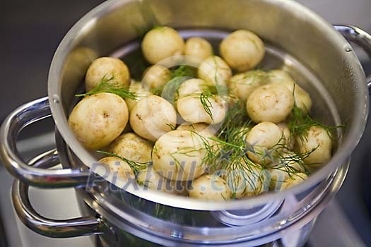 Food Stock Photo Subscription Food Stock Photo Subscription