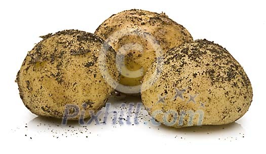 Food Stock Images with clipping path Food Stock Images with clipping path
