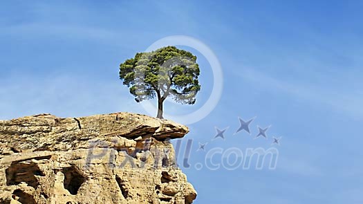 Download Conceptual Stock Images