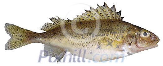 Download Clipped Stock Photos Download Clipped Stock Photos