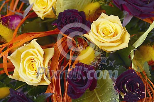 Background Stock Photos Subscription Background Stock Photos Subscription