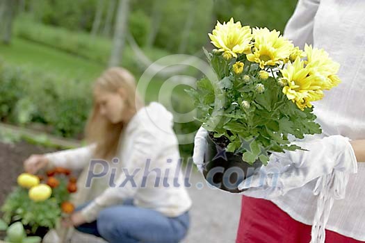 Online Leisure Stock Subscription Online Leisure Stock Subscription
