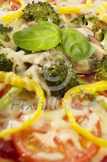 Food Stock Photo Subscription Food Stock Photo Subscription