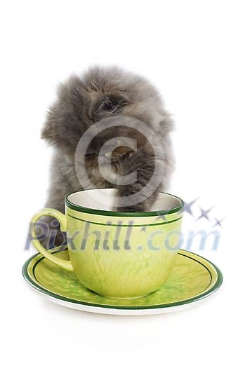 Download Conceptual Stock Images