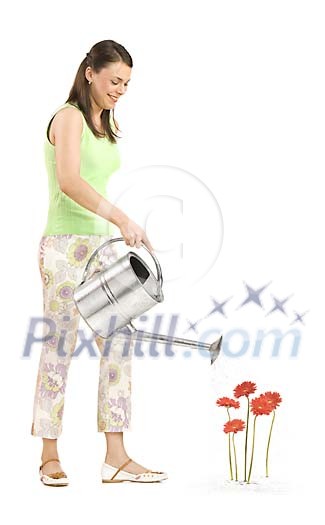 Woman watering gerberas on a white space