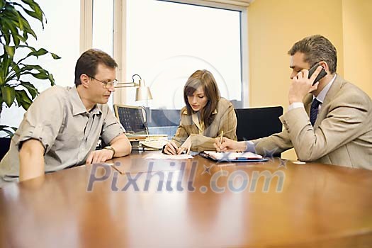 Two men and a woman having a meeting