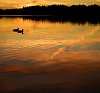 Two ducks on the water in the evening