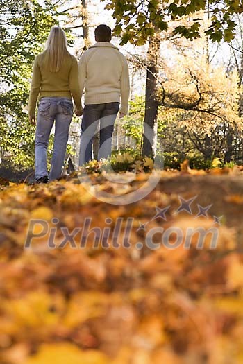 Couple taking a walk in the autumn park Couple taking a walk in the autumn park