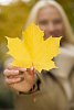 Woman holding a maple leaf close to the camera