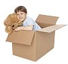 Boy in the cardboard box with toy bear