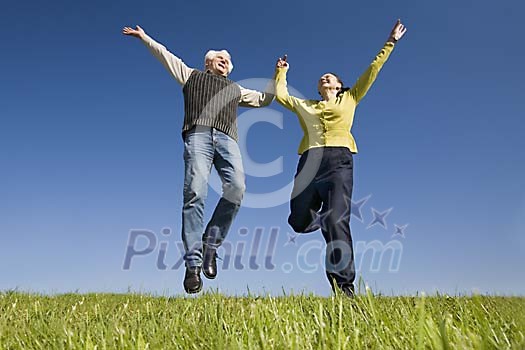 Online Leisure Stock Subscription Online Leisure Stock Subscription