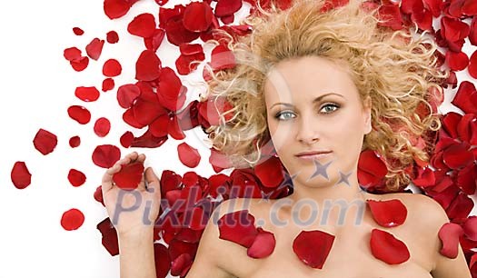 Download Conceptual Stock Images