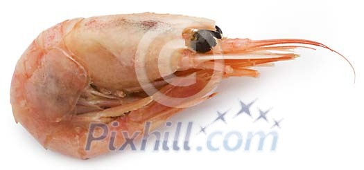 Food Stock Images with clipping path Food Stock Images with clipping path
