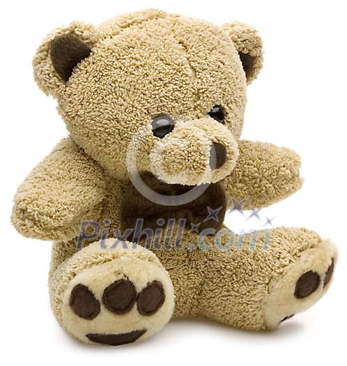 Isolated teddy bear