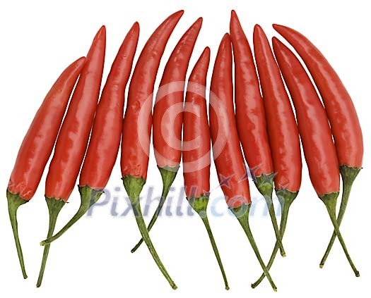 Isolated bunch of chilli pepper