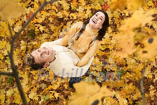 Couple in the autumn leaves