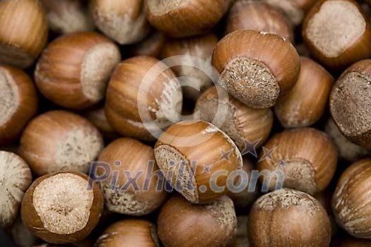 Background of hazelnuts Background of hazelnuts