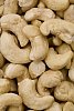 Background of cashew nuts