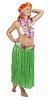 Isolated woman wearing grass skirt