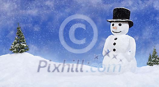 Single snowman on the field