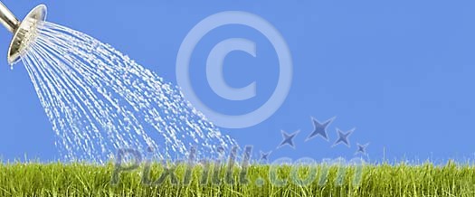 Watering grass with a watering can