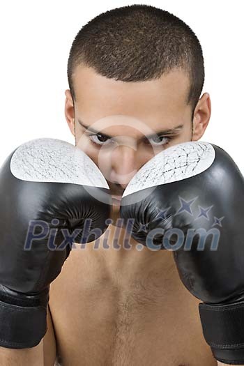 Isolated male boxer close-up Isolated male boxer close-up