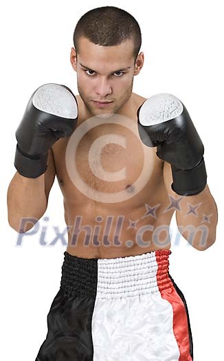 Isolated male boxer