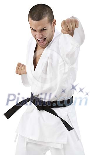 Isolated male karate master punching