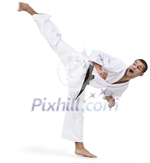 Isolated male karate master kicking