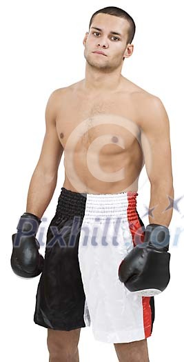 Isolated good looking male boxer Isolated good looking male boxer