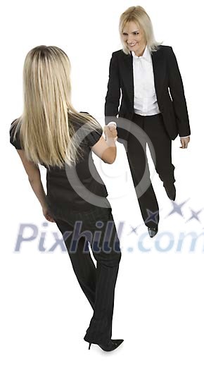 Isolated businesswomen greeting Isolated businesswomen greeting