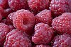 Background of raspberries