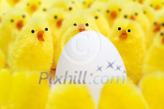 White egg surrounded by chicks
