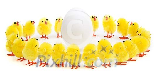 Yellow chicks in circle around a white egg Yellow chicks in circle around a white egg