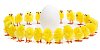 Yellow chicks in circle around a white egg