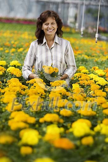 Woman with lots of yellow pot flowers