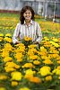 Woman with lots of yellow pot flowers