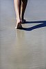 Female feet on the wet beach sand