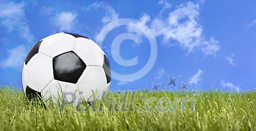 Football on the green grass