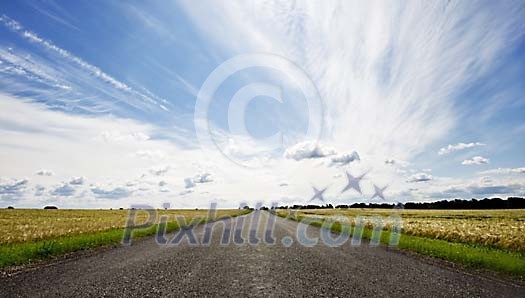 Empty road on a sunny day