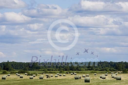 Hay bales on the field